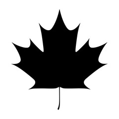 Maple Leaf Silhouette - Black Vector Icon