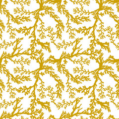 Coral seamless pattern. Sea coral reef polyps and algae, tropical ocean, underwater wildlife and marine flora, textile or wallpaper design background.