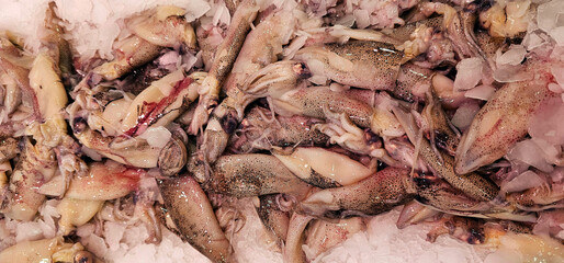 Freshly caught squid on ice with visible tentacles and partially cleaned bodies arranged in bulk for sale; palma
