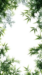 A border of verdant bamboo shoots, isolated with negative space for use in layout designs