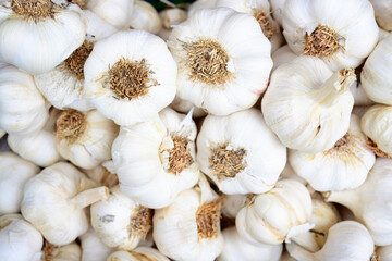 Fresh white garlic bulbs in bulk display
Close-up of numerous fresh garlic bulbs piled together, showing their white skins and dried roots in a market setting.
