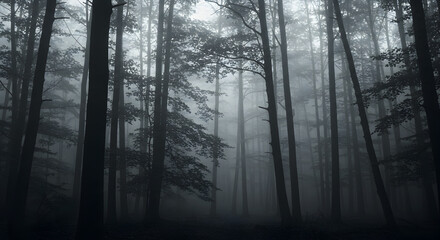 Naklejka premium Ethereal forest scene shrouded in mist creating a mysterious atmosphere