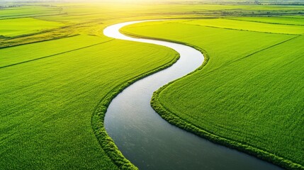 A serene aerial view of a winding river flowing through lush green fields under a bright sun, showcasing the beauty of nature and agriculture.