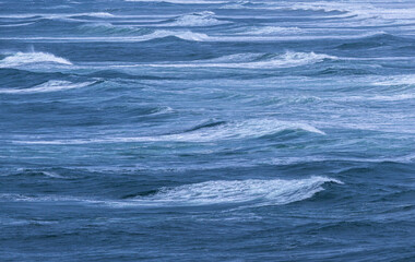 2025 03 05 Breaking Waves - Yaquina Head 003
