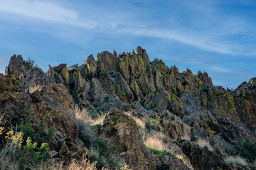 Forebay Minarets Image 1