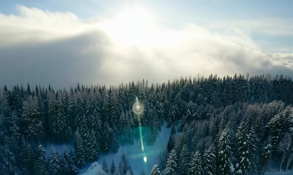 Top view of beautiful winter landscape with hills and forests. Clip. Beautiful horizon with panorama of winter forest and cloudy sky. Winter landscape with forests and sunlight through cloudy sky