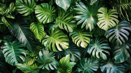 Lush Green Foliage A Vibrant Collection of Tropical Leaves and Plants for Nature and Botanical