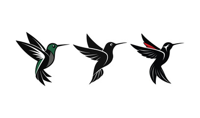 Obraz premium Humming bird Silhouette vector illustration