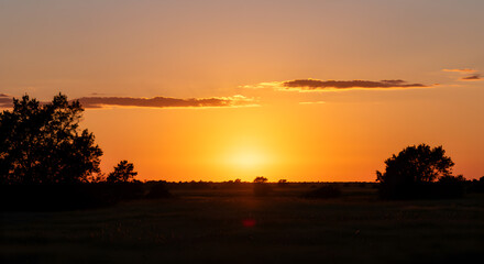 Naklejka premium Vivid golden hour sunset painting a serene landscape with trees silhouette