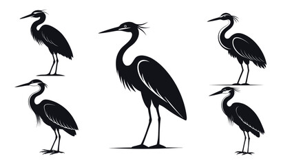 Five silhouettes of great blue herons in different poses