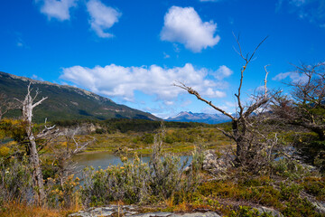 Terre de Feu, Ushuaia, Argentine 