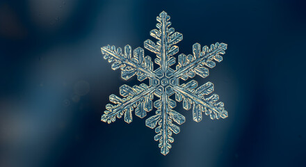 Delicate artistry: A magnified view of intricate snowflake crystallization patterns