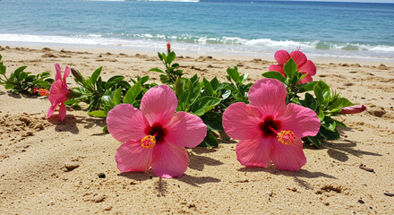 Fototapeta premium Delicate pink hibiscus blossoms grace a tranquil beach, their vibrant petals mirroring the ocean's gentle waves under a bright sun.