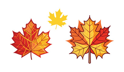 Fototapeta premium autumn maple leaves set