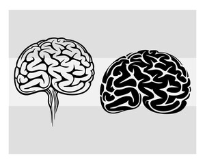 Brain svg, Human Brain Svg, Brain Silhouette, Organ Svg, Human Brain Clipart Svg, Medical Clipart, Mental Health Svg, Brians Vector Images, Human Mind Science, Brain Cut File, Medical Svg, Brain Png, 