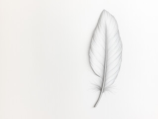 Pencil Sketch of a Feather: Minimalist Art on White Background
