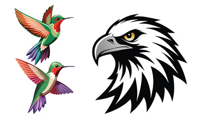 Obraz premium Hummingbird and eagle head vector illustrations