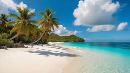 Tropical beach background with palm trees and clear water