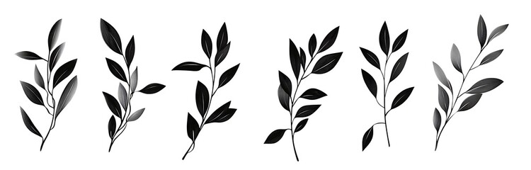 Black brush strokes of hand-drawn olive leaves on a white background. Ideal for scrapbooking and 2D illustrations, featuring simple line art and long shadows.