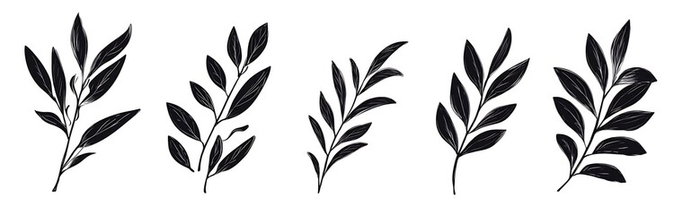 Black brush strokes of hand-drawn olive leaves on a white background. Ideal for scrapbooking and 2D illustrations, featuring simple line art and long shadows.