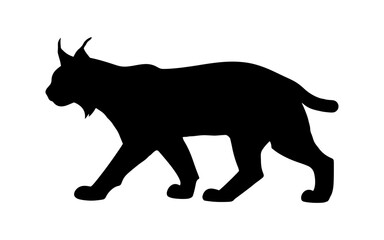 Eurasian lynx silhouette vector flat illustration design.