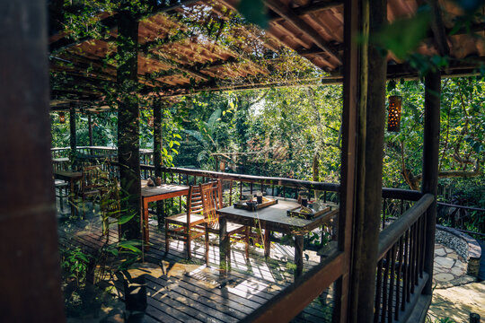Lost Tiny House in the Jungle