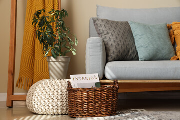 Stylish living room with sofa, pillows, houseplant and basket with magazines