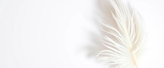 Elegant white feather on blank wedding invitation card mockup, copy space, background,  rustic