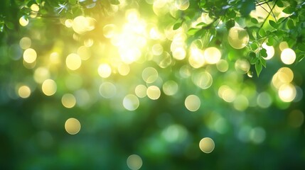 Fototapeta premium Sunlight streaming through leaves, creating a bokeh filled nature scene.