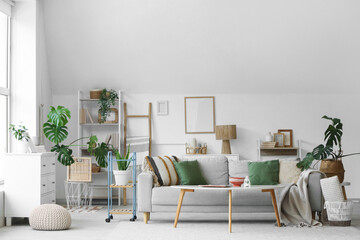 Cozy sofa, coffee table, chest of drawers and houseplants in interior of living room