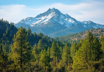 Obraz premium San Joaquin Mountain Range Covered with Snow Surrounded by Green Forest in California Under a Clear Blue Sky on a Sunny Day