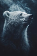 Dramatic Portrait of a White Polar Bear Emerging from Darkness with Glowing Fur in a Low Light Setting Showing Strength and Wildness