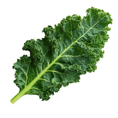 Fresh green kale leaf isolated on transparent background a