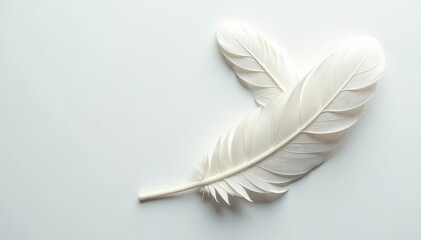 Naklejka premium Crisp white feathers on seamless white surface, nature, isolated