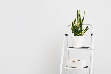 Home decor on stepladder near white wall in stylish room