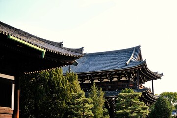 日本、京都、東福寺、寺院、木造建築、秋、絶景