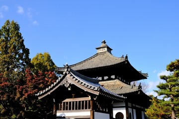 日本、京都、東福寺、紅葉、秋、絶景