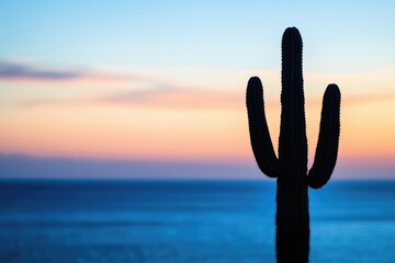 Silhouette of a saguaro cactus against a vibrant sunset over a calm ocean.