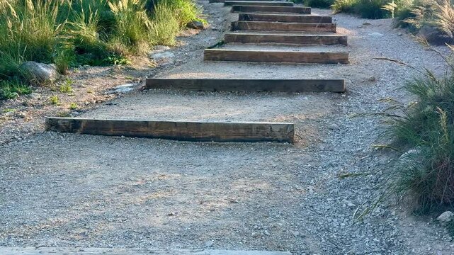 A set of scenic wooden steps gracefully ascend along a gravel path that is surrounded by lush, vibrant greenery