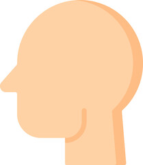 head Illustration on a white background.