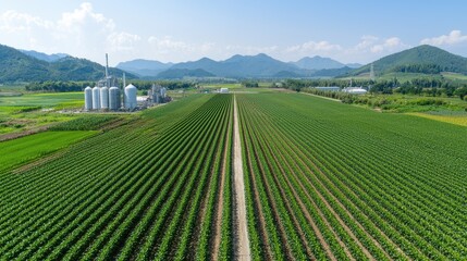 Lush green agricultural fields stretch out across a hilly countryside with wind turbines and storage silos in the background creating a productive and sustainable rural landscape