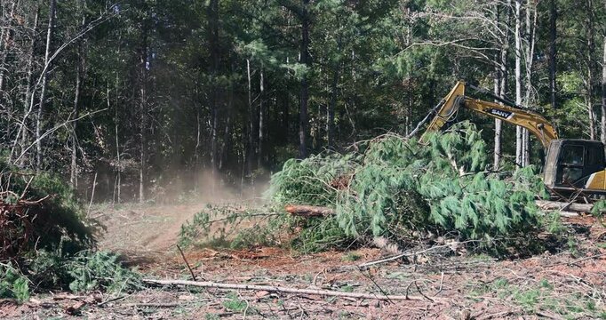 25 October 2024 New York NY US: In construction site, skid steers were used to clear uprooted trees from land so that subdivision of housing could be built