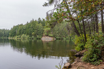 Upper Thetis lake at Thetis Lake Regional Park calm water and overcast day
