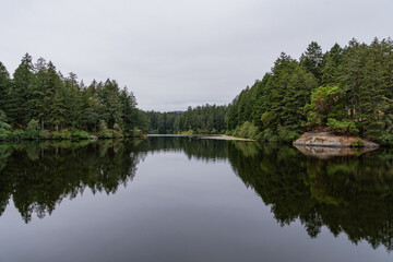 Fototapeta premium Upper Thetis lake at Thetis Lake Regional Park calm water and overcast day