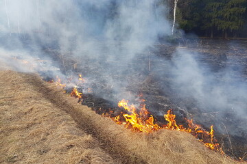 Burning dry grass in a field due to arson