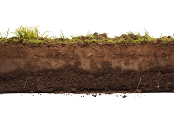 A cross section view of soil with grass on top showing different layers of earth and roots visible transparent backgroundpng