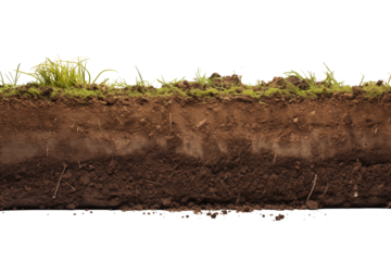 A cross section view of soil with grass on top showing different layers of earth and roots visible transparent backgroundpng