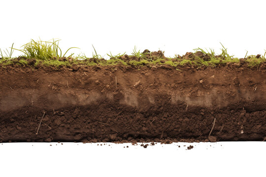 A cross section view of soil with grass on top showing different layers of earth and roots visible transparent backgroundpng