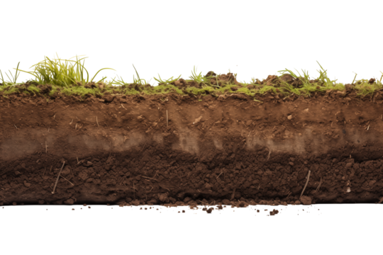 A cross section view of soil with grass on top showing different layers of earth and roots visible transparent backgroundpng