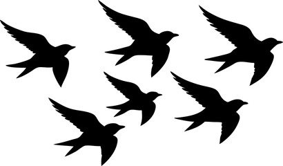 silhouettes of birds